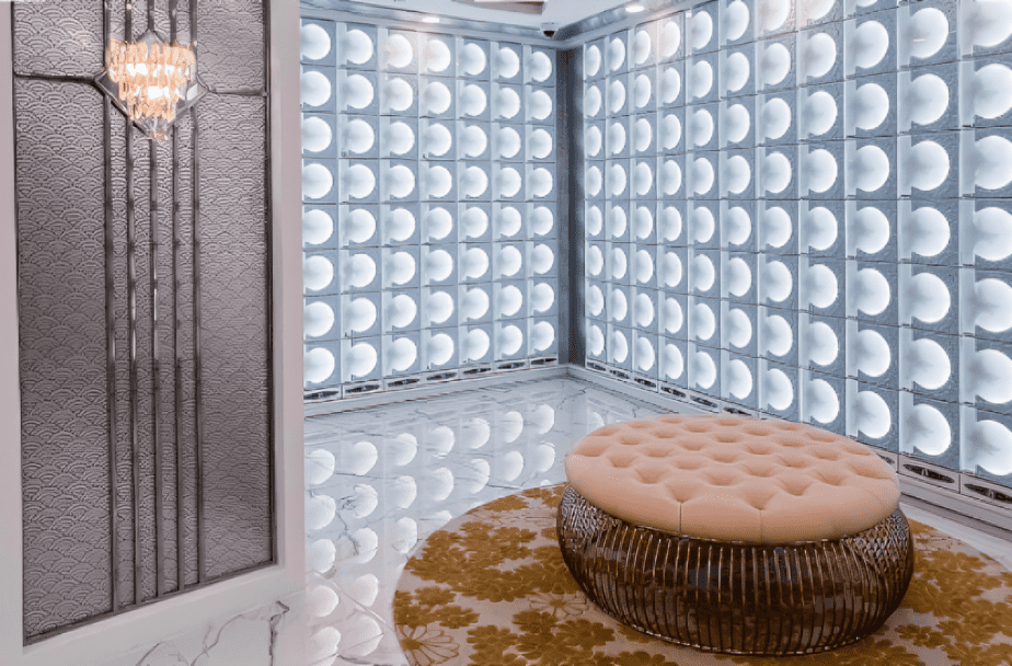 Nirvana premium suite logo